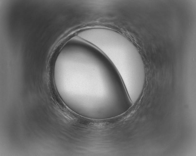 X0000073870295200608101114