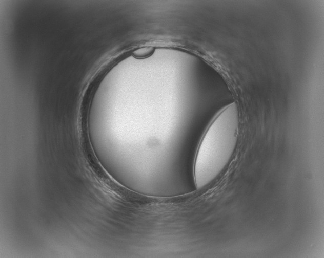 X0000073870296200608101114