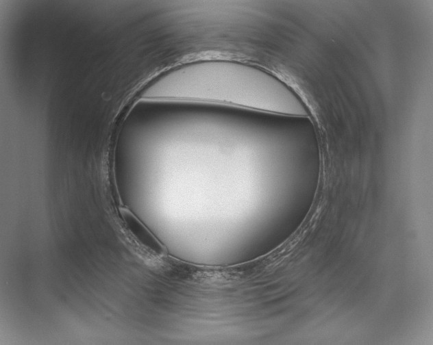 X0000073870297200608101114