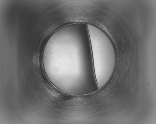 X0000073870299200608101114