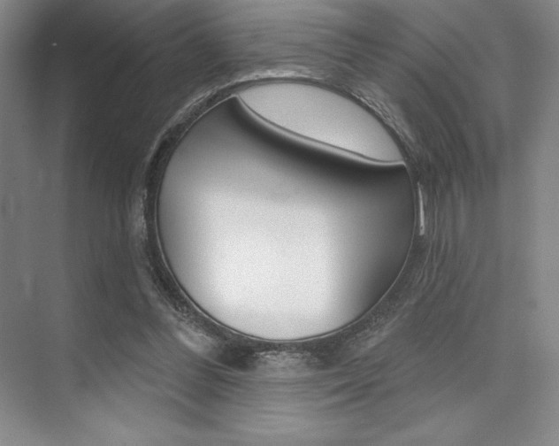 X0000073870300200608101114