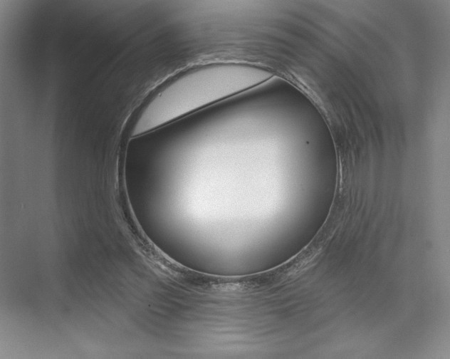 X0000073870301200608101114