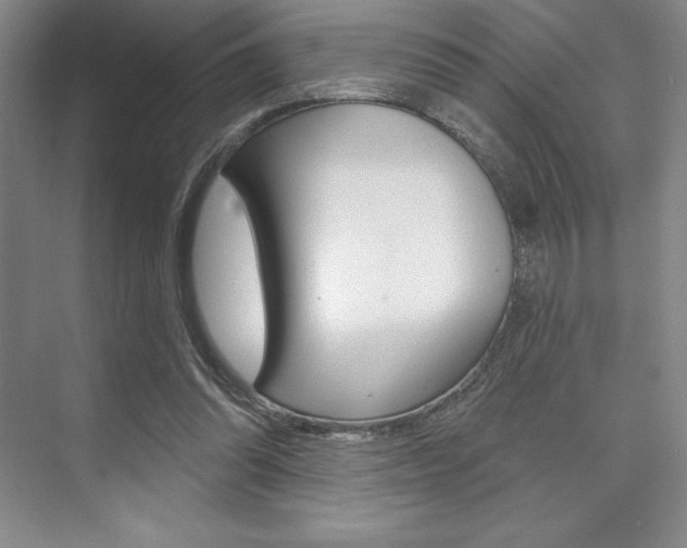 X0000073870302200608101114