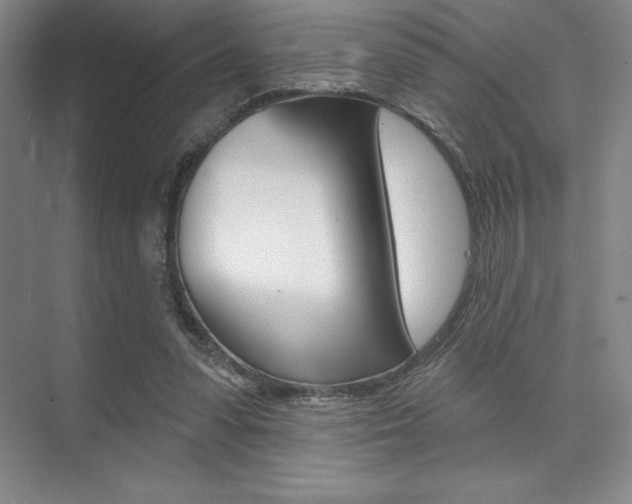 X0000073870303200608101114