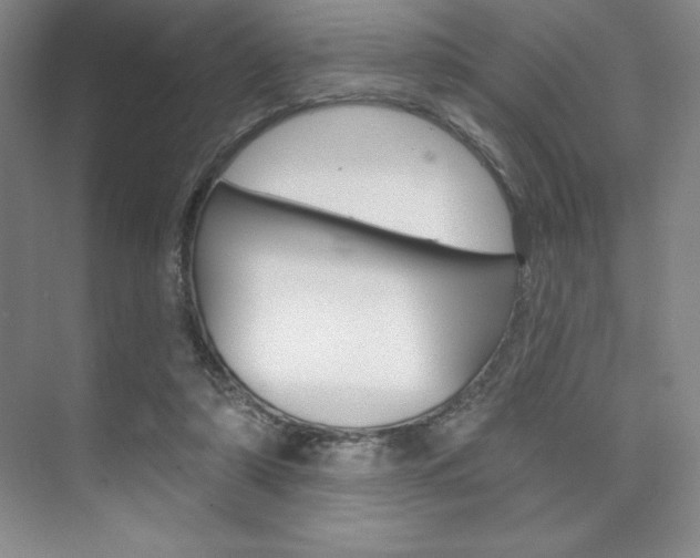 X0000073870306200608101114