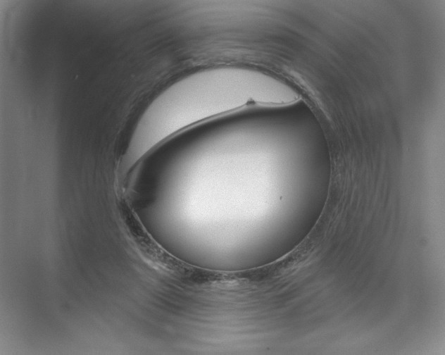 X0000073870307200608101114