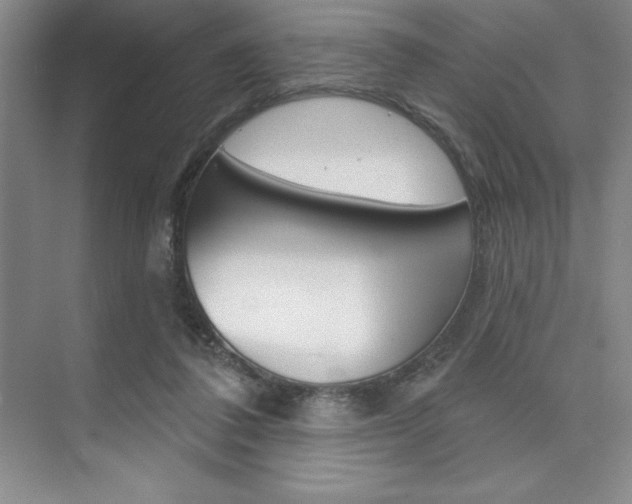 X0000073870308200608101114