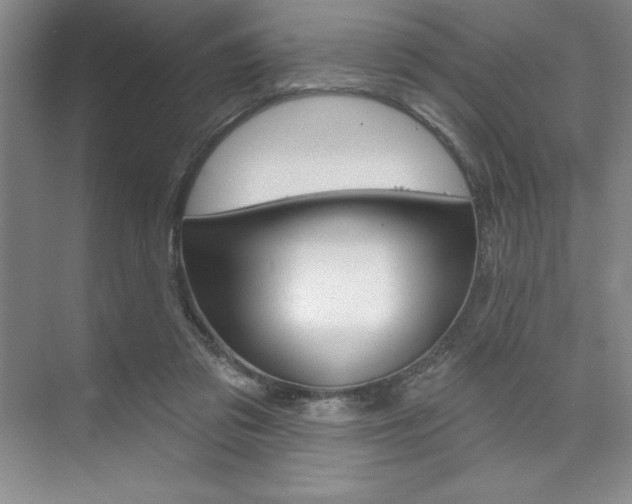 X0000073870309200608101114