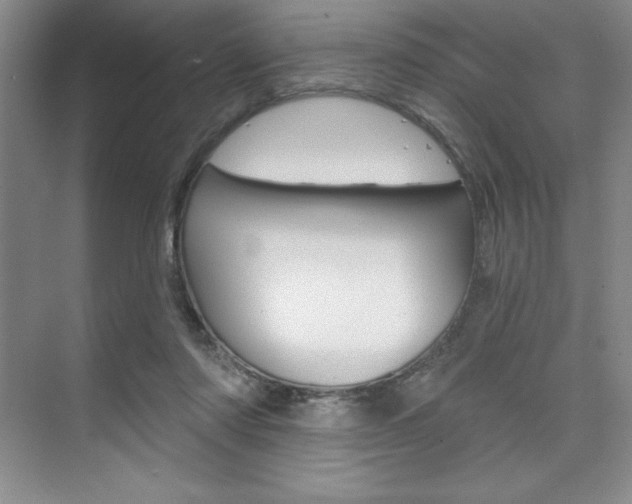 X0000073870310200608101114