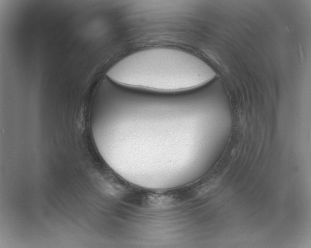 X0000073870311200608101114