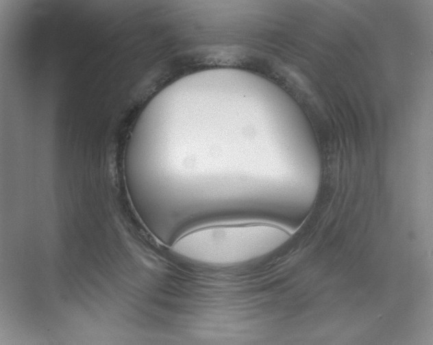 X0000073870312200608101114