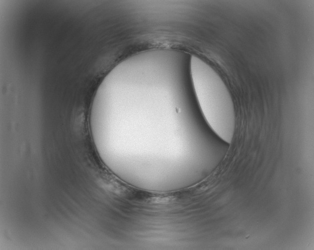 X0000073870314200608101114