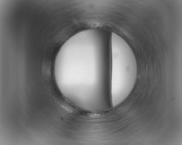 X0000073870315200608101114