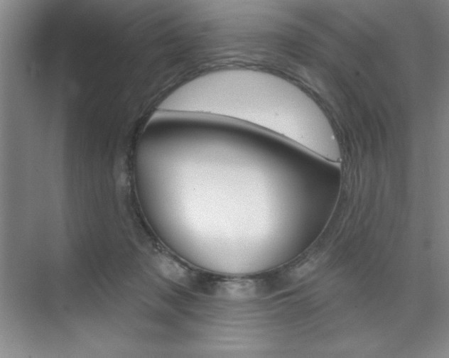 X0000073870317200608101114