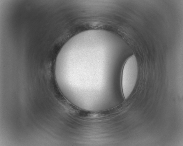 X0000073870319200608101114