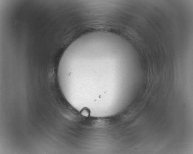 X0000073870320200608101114