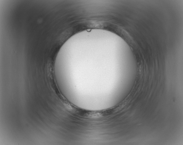 X0000073870322200608101113