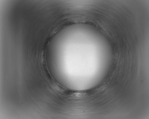 X0000073870323200608101113