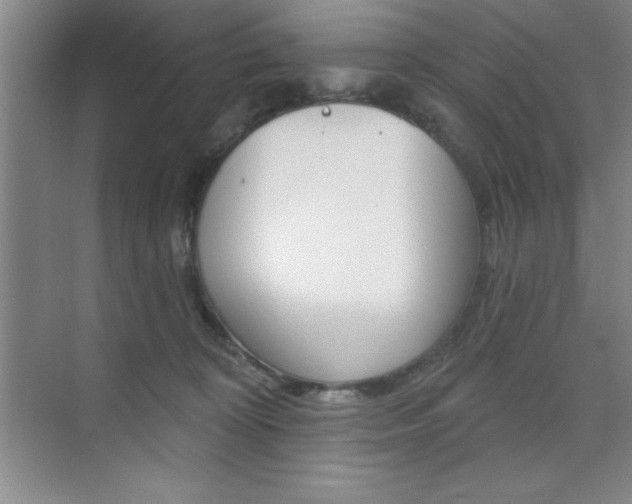 X0000073870324200608101113