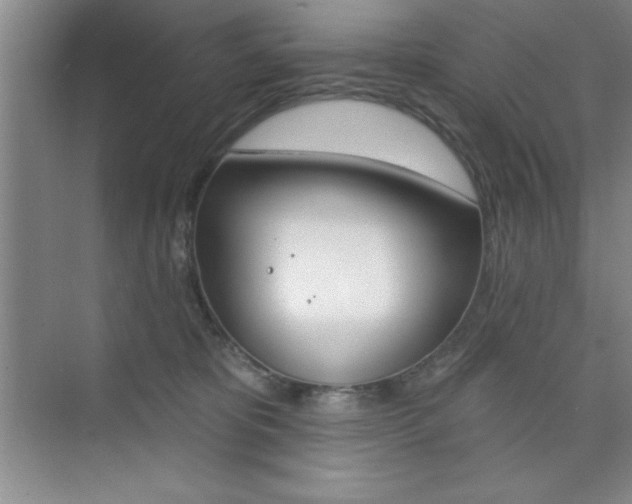 X0000073870325200608101113