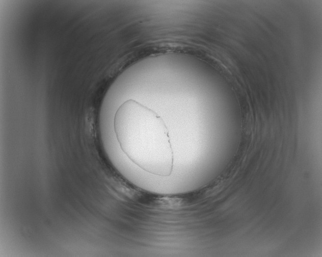 X0000073870328200608101113