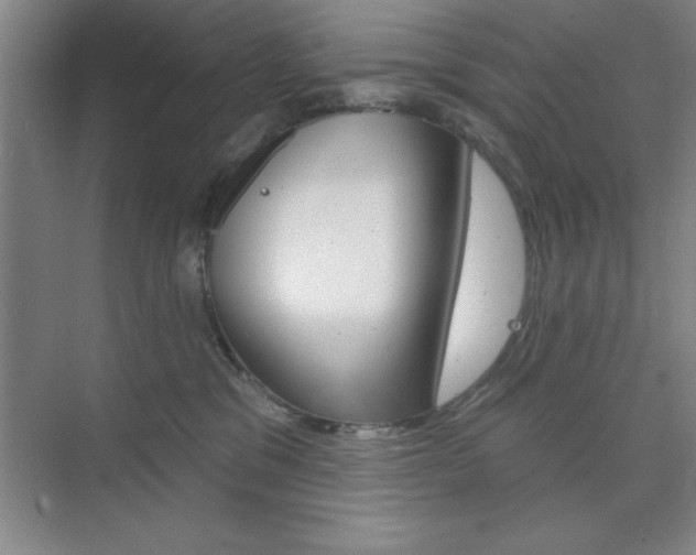 X0000073870329200608101113