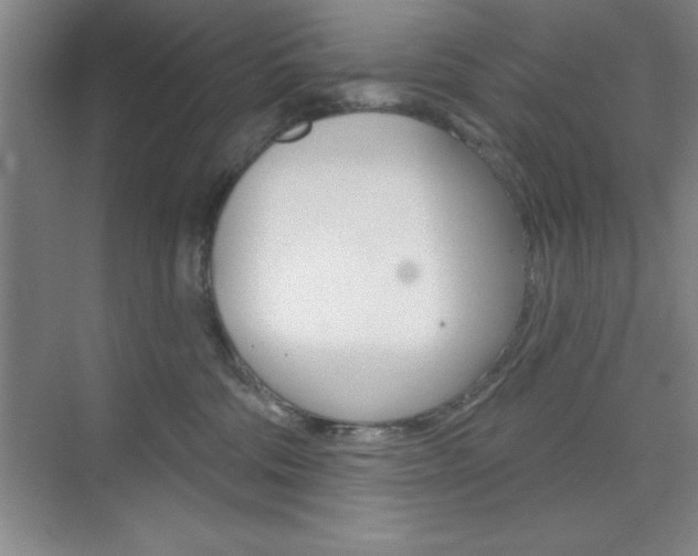 X0000073870330200608101113