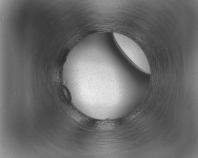 X0000073870331200608101113