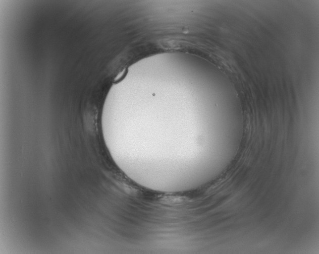 X0000073870332200608101113