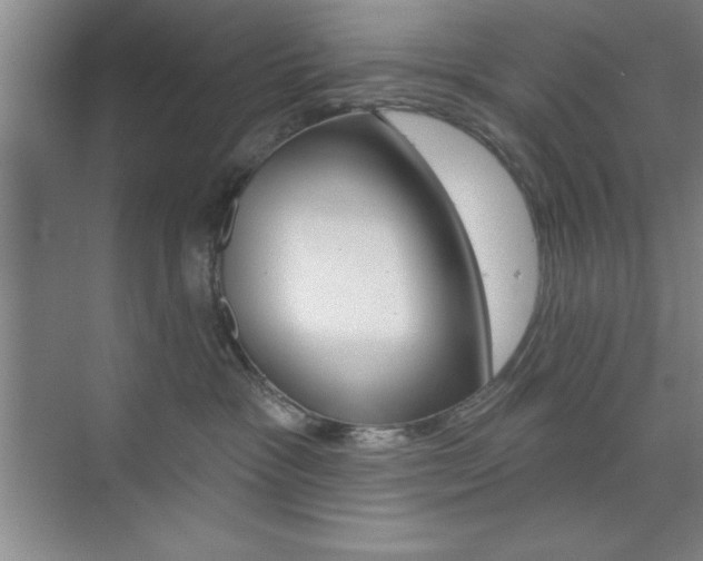 X0000073870333200608101113