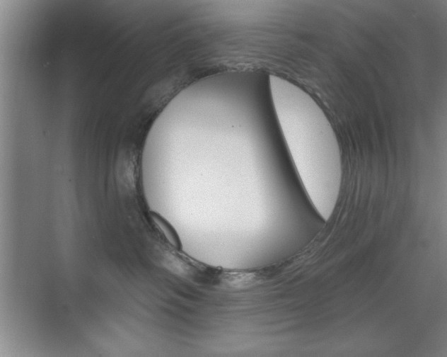 X0000073870334200608101113