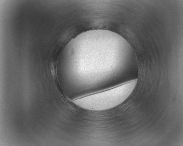 X0000073870335200608101113