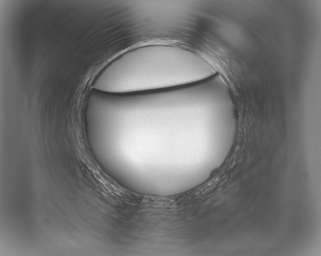 X0000073870337200608101112