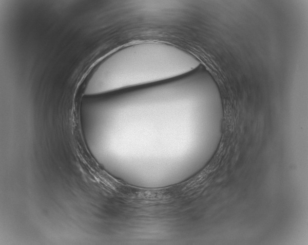 X0000073870338200608101112