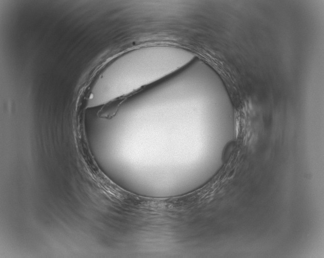 X0000073870339200608101112