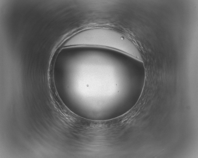 X0000073870340200608101112