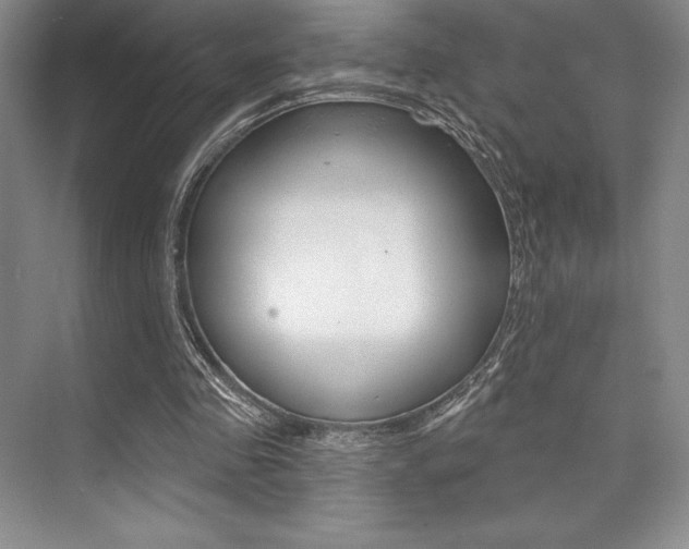 X0000073870341200608101113