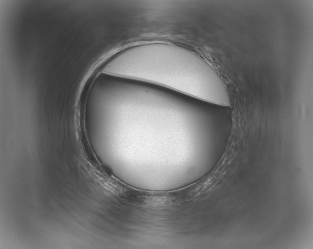 X0000073870342200608101113