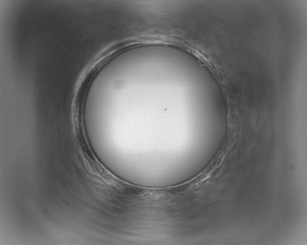 X0000073870343200608101113