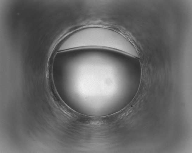 X0000073870344200608101113