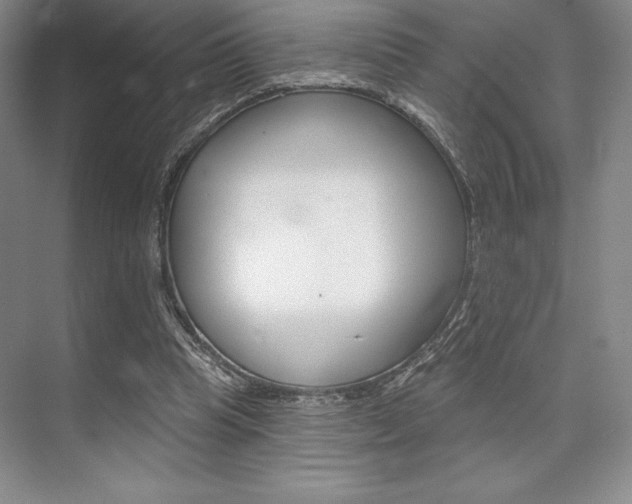 X0000073870345200608101113