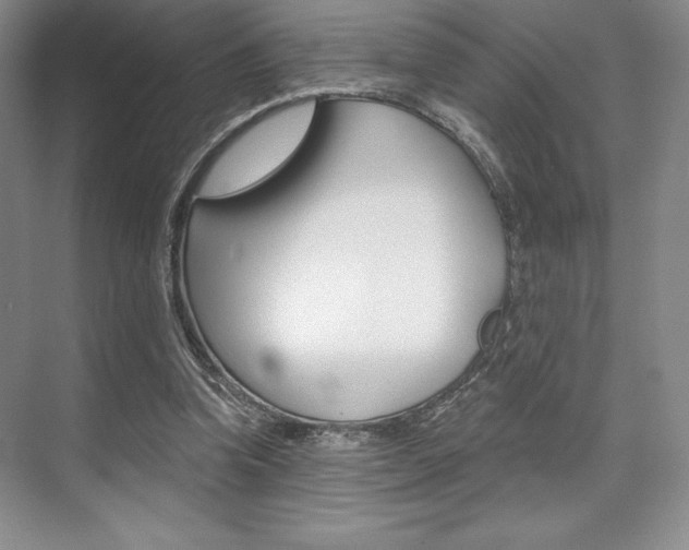 X0000073870346200608101113