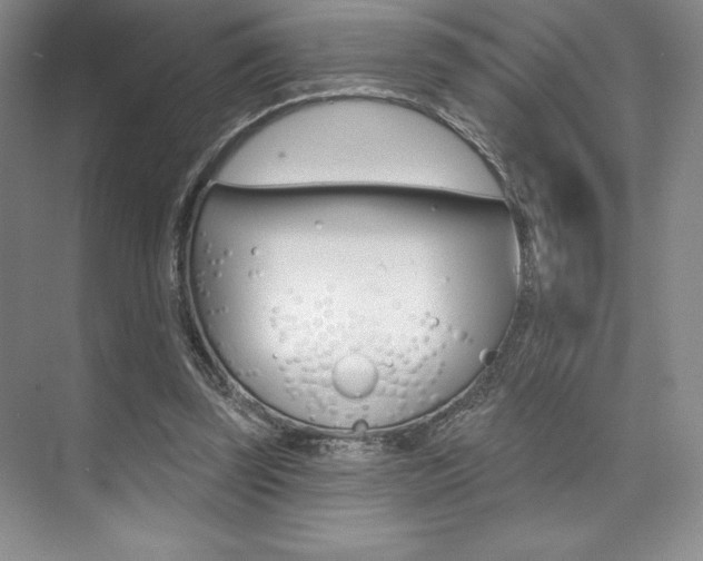 X0000073870347200608101113