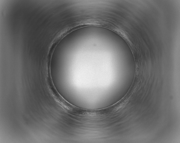 X0000073870349200608101113