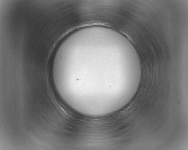 X0000073870350200608101113