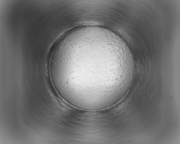 X0000073870351200608101113