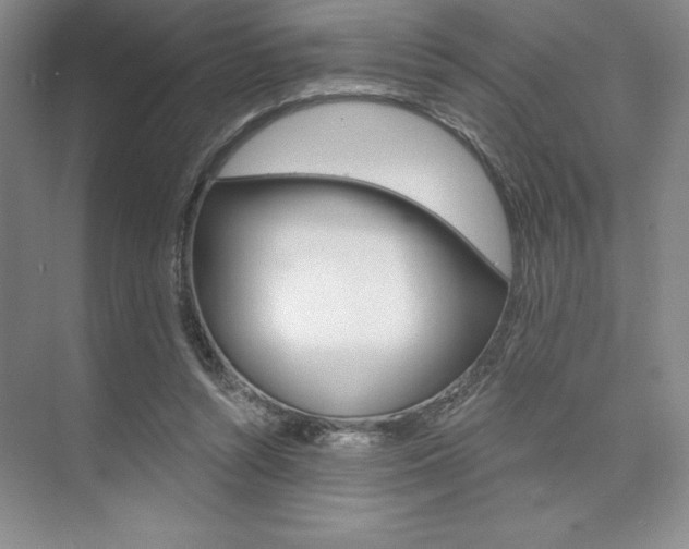 X0000073870352200608101113