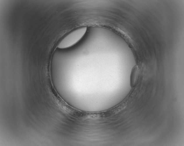 X0000073870353200608101113