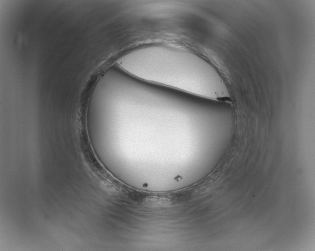 X0000073870354200608101113