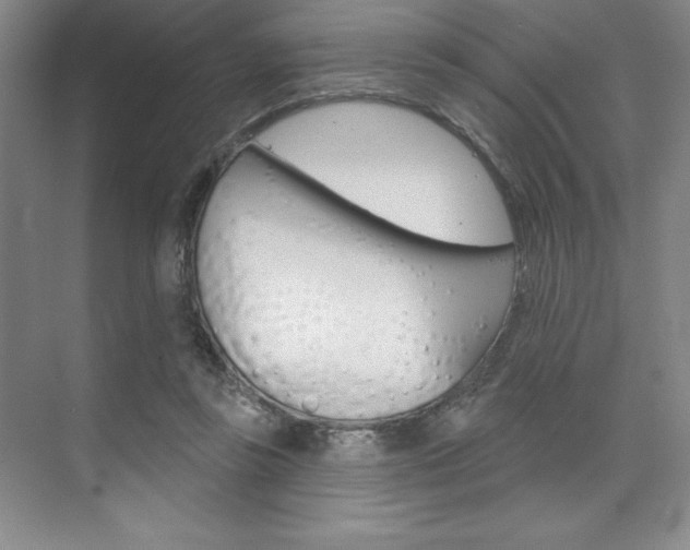 X0000073870355200608101113